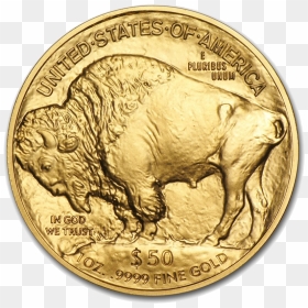 Transparent Gold Coin Png - 1 Oz American Buffalo Gold Coin, Png Download - golden coin png