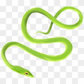 Vine Snake, HD Png Download - green snake png