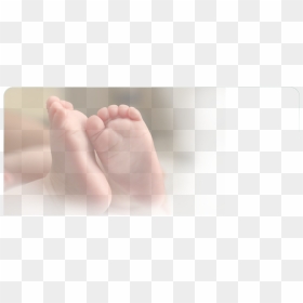 Baby Feet, HD Png Download - baby foot png