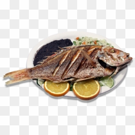 Pacific Saury, HD Png Download - coctel de camaron png