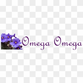 Picture - Delta Sigma Theta Omega Omega, HD Png Download - delta sigma theta png