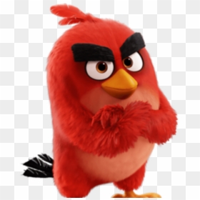 Billy The Sign - Red Angry Birds 2, HD Png Download - angry guy png