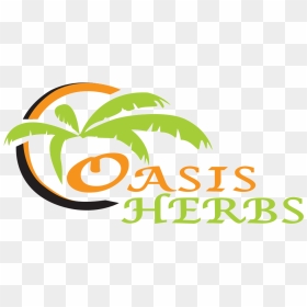 Oasis Herbs Co - Palm Tree, HD Png Download - oasis png