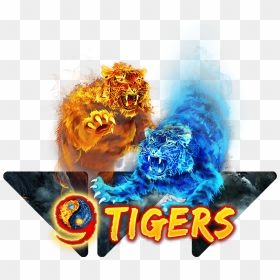9 Tigers - 9 Tigers Wazdan, HD Png Download - tigers png