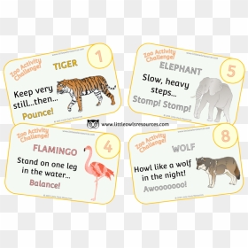Zoo Activity Challenge Cover - Pet Animal Movement Cards, HD Png Download - activity png