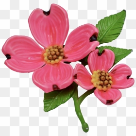 Bright Pink Enamel Dogwood Flower Brooch - Pink Dogwood Transparent Background, HD Png Download - dogwood png