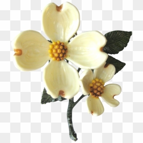 Flower Transparent Dogwood - Dogwood Flower Transparent, HD Png Download - dogwood png