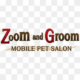 Groom & Zoom Logo, HD Png Download - zoom logo png