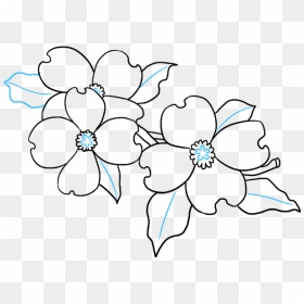 Flowering Dogwood Drawing Image Petal - Dogwood Flower Drawing Easy, HD Png Download - dogwood png