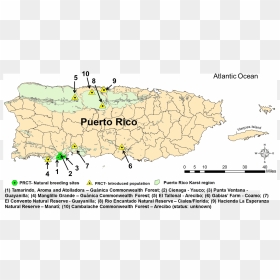Puerto Rico En Blanco , Png Download - Farms In Puerto Rico Map, Transparent Png - puerto rico map png