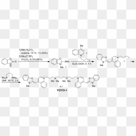 Yoyo-1 Fluorescent Dye Synthesis - Strychnine Biosynthesis, HD Png Download - yoyo png