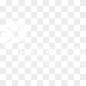 Spiral, HD Png Download - paragon png