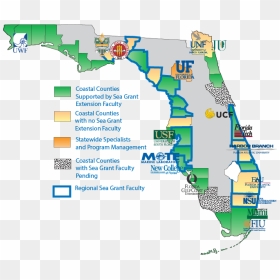 Florida University Map, HD Png Download - university of florida png