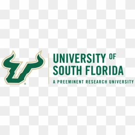 University Of South Florida - Transparent University Of South Florida Logo, HD Png Download - university of florida png
