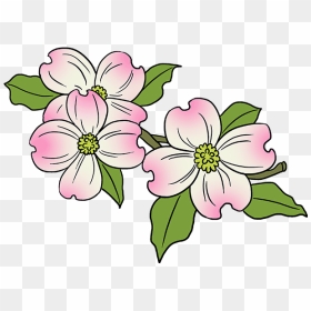 Pink Flower Cartoon - Dogwood Flower Clip Art, HD Png Download - dogwood png