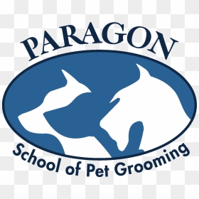 Paragon Logo Web - Paragon School Of Pet Grooming, HD Png Download - paragon png