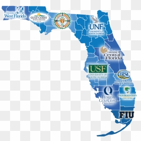 Florida Coronavirus Update, HD Png Download - university of florida png