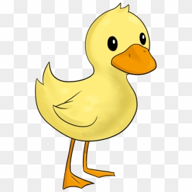 Free To Use Public Domain Duck Clip Art - Cute Duck Clipart, HD Png Download - baby duck png