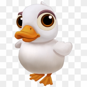 Baby American Pekin Duck - American Pekin, HD Png Download - baby duck png