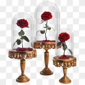 Bella Victorian Collection - Garden Roses, HD Png Download - victorian png