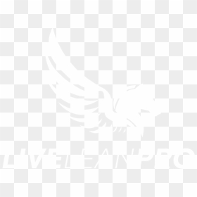 Llp Stand Repeat - Johns Hopkins Logo White, HD Png Download - repeat png