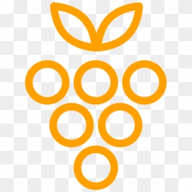 Circle, HD Png Download - limpieza png