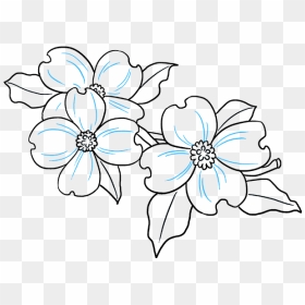 How To Draw Dogwood Flowers - Dogwood Flower Drawing Easy, HD Png Download - dogwood png