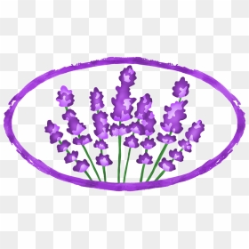Lavender Flowers Png, Transparent Png - lavender flowers png
