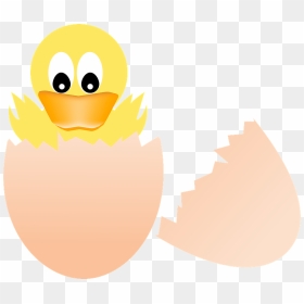 Baby Duck Hatching Clipart - Cartoon, HD Png Download - baby duck png