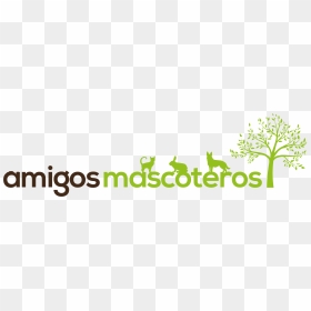 Coaching, HD Png Download - amigos png