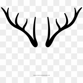 Deer Horns Png - Deer Horn Free Png, Transparent Png - deer horns png