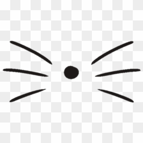 Cat Whiskers Clipart Black And White, HD Png Download - napstablook png