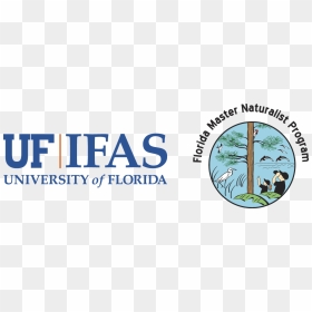 Fmnp Logo - University Of Florida, HD Png Download - university of florida png