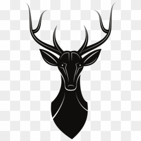 Deer Stag Silhouette - Stag Silhouette, HD Png Download - deer horns png