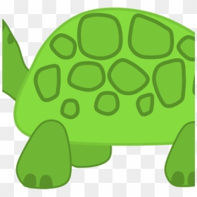 Turtle Images Clip Art Free Clipart Turtle Scout Science - Turtle Transparent Clip Art, HD Png Download - aristotle png