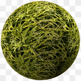 Grass, HD Png Download - wild grass png