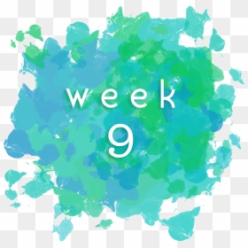 Week9 - Graphic Design, HD Png Download - august png