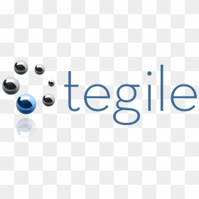 Tegile Systems, HD Png Download - western digital logo png