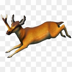 Weird Heads Month, HD Png Download - deer horns png