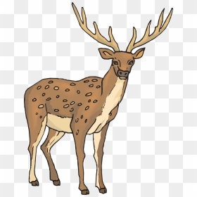 Clipart Deer, HD Png Download - deer horns png