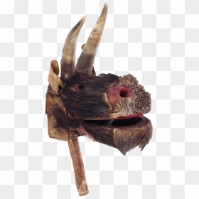 Turoń Head From Stary Sącz - Turon Kolednicy, HD Png Download - deer horns png