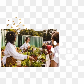 H S Homepage Banner, HD Png Download - flower banner png