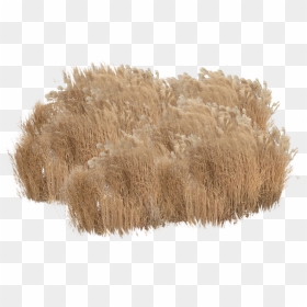 Thatching, HD Png Download - wild grass png