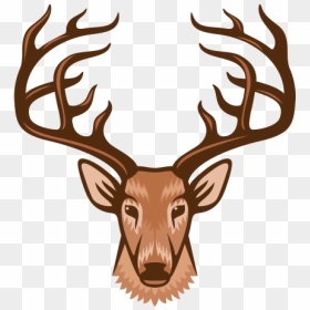 Deer Head - Cartoon Elk Head, HD Png Download - deer horns png