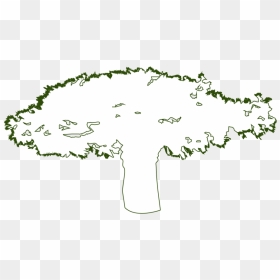 Why Fairwild Plants Outline, HD Png Download - wild grass png