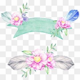 #flower Banner - Water Lily, HD Png Download - flower banner png