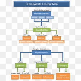 Cho Map - Simple Carbohydrates Concept Map, HD Png Download - glucose png