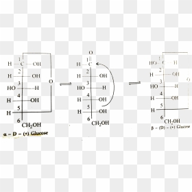 Crystalline Forms Of Glucose, HD Png Download - glucose png