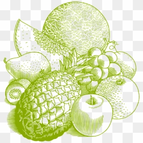 Fruits Fruits Lineart, HD Png Download - food vector png