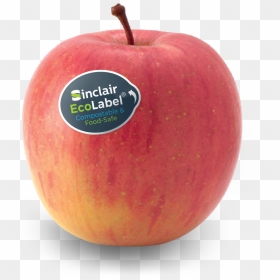 Granny Smith, HD Png Download - label shapes png